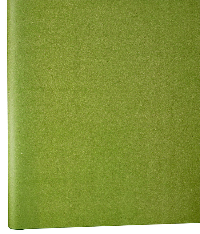 Изображение Бумага крафт односторонняя зеленая DEKO