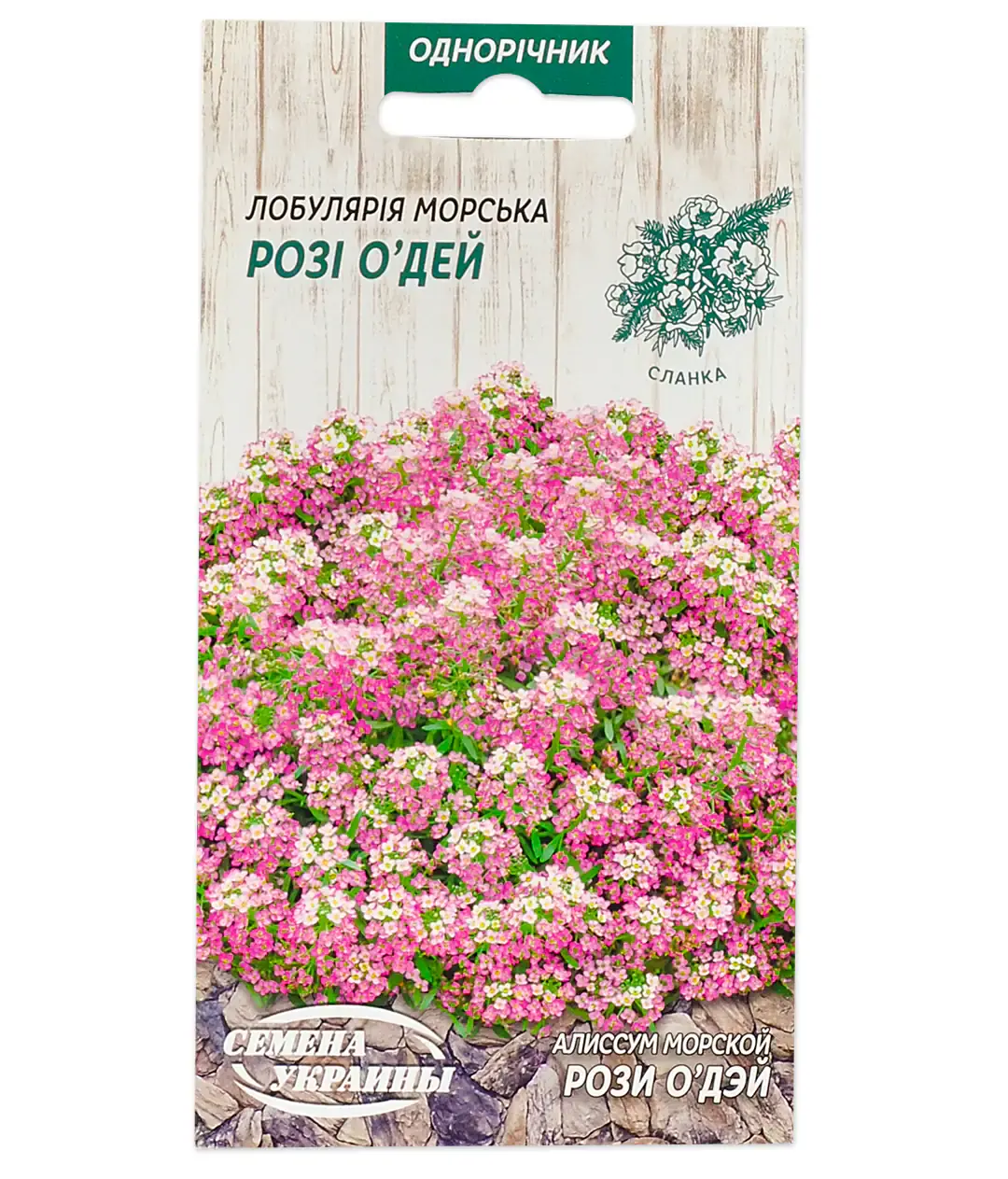 Аліссум Розі О