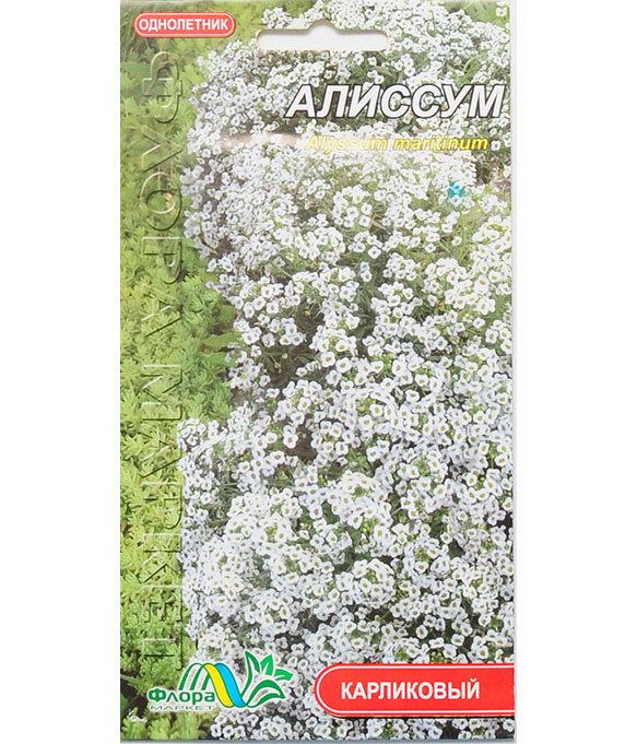 Изображение Семена цветов Алиссум ассортимент  