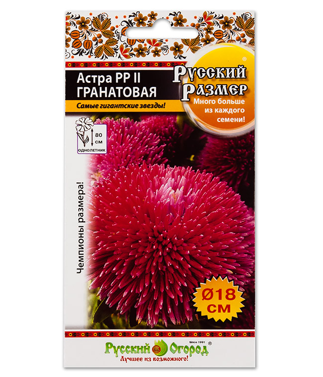 Изображение Семена цветов Астра Гранат Русский Размер  