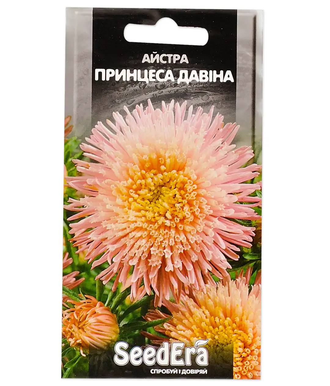 Изображение Астра Принцесса Давина