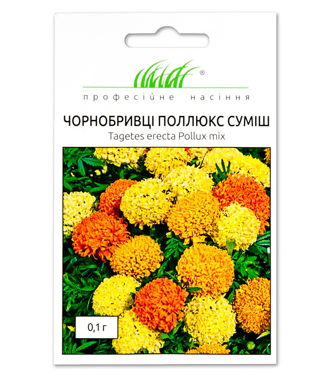 Изображение Бархатцы Поллюкс