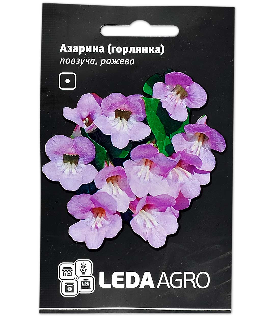 Изображение Семена цветов Азарина(горлянка) розовая