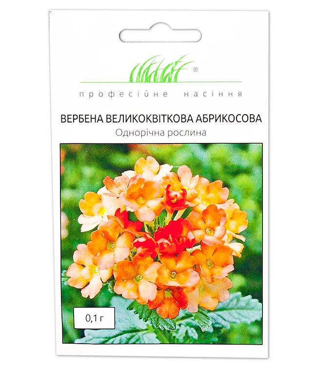 Изображение Семена цветов Вербена Абрикосовая