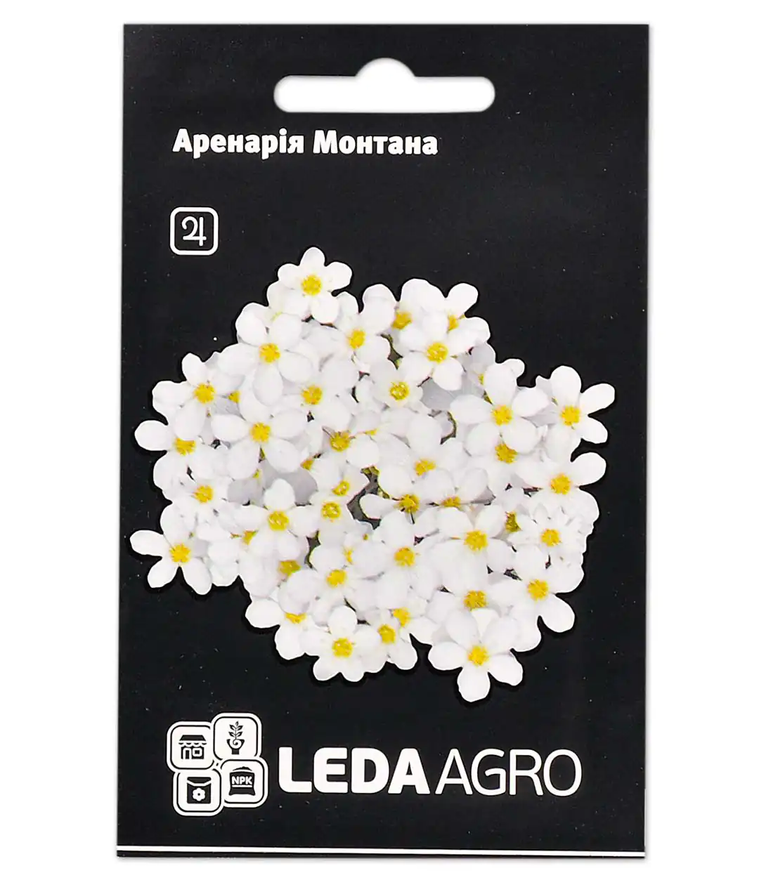 Цветы Аренария Монанта