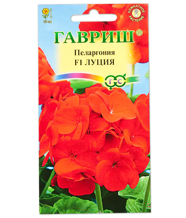 Цветы Пеларгония Луция F1