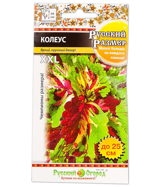 Изображение Семена цветов Колеус Русский Размер