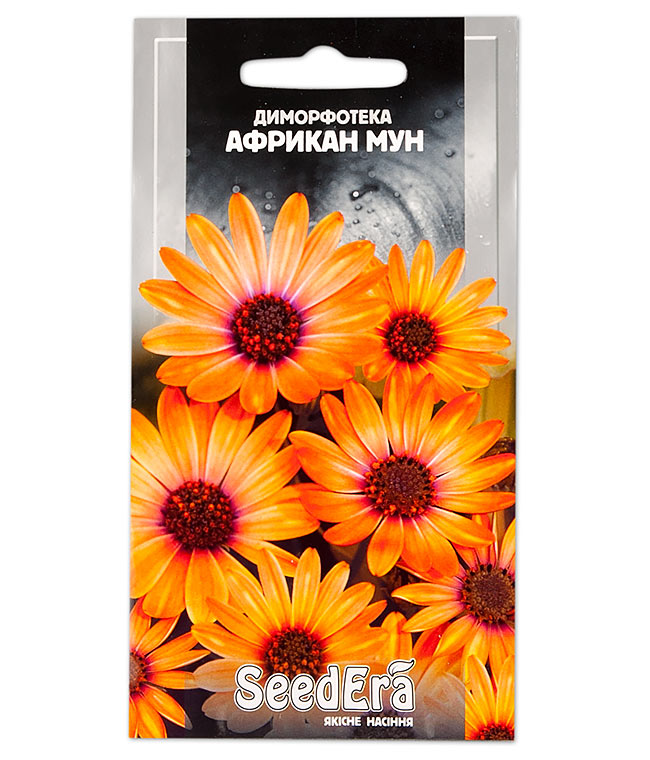 Изображение Семена цветов Диморфотека Американ мун