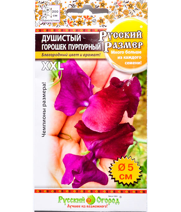 Изображение Семена цветов Душистый горошек пурпурный Русский Размер 