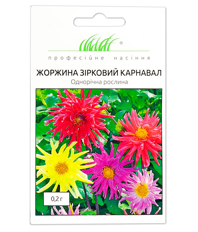 Изображение Жоржина Карнавал
