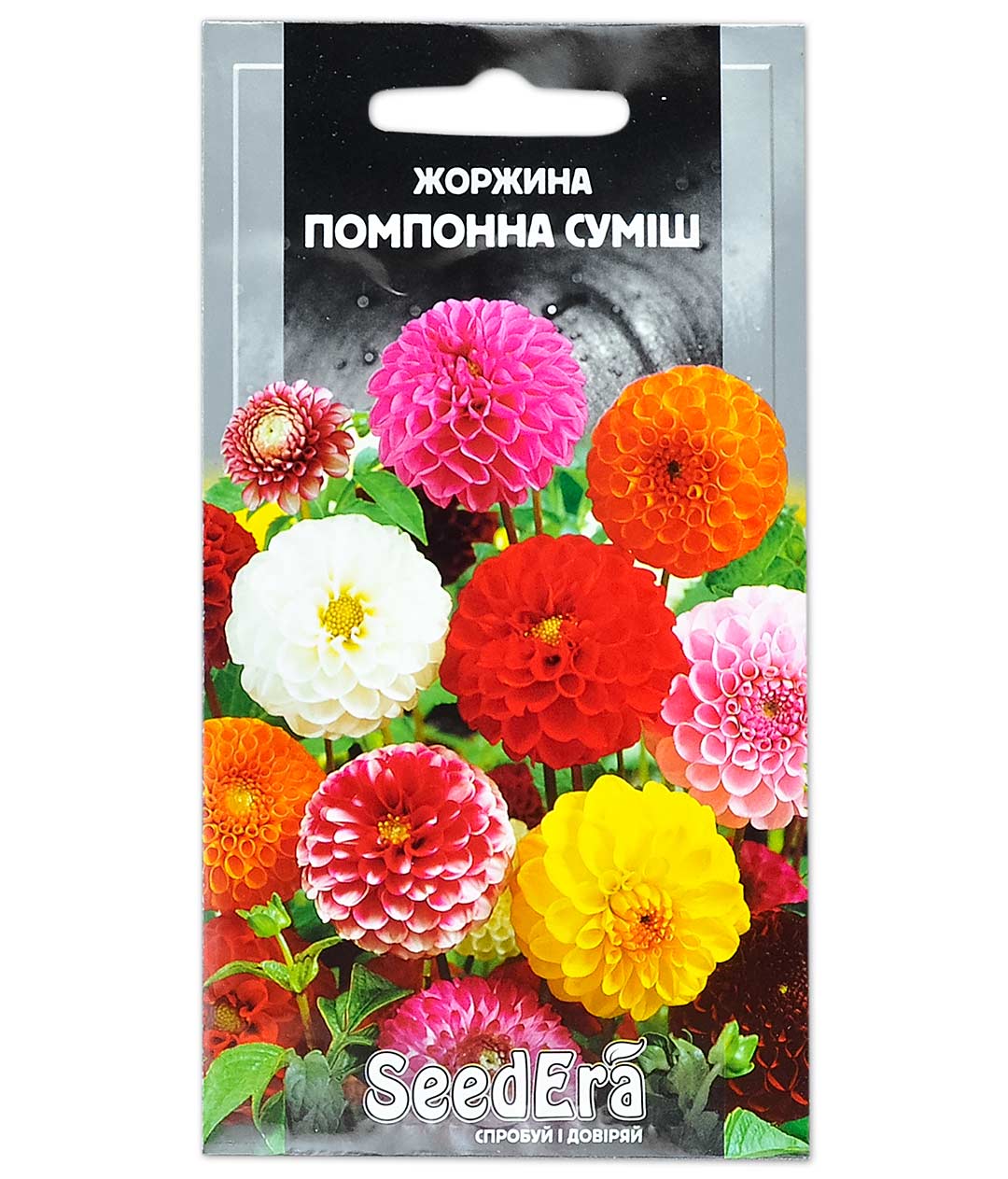Изображение Семена цветов Георгина Помпонная смесь