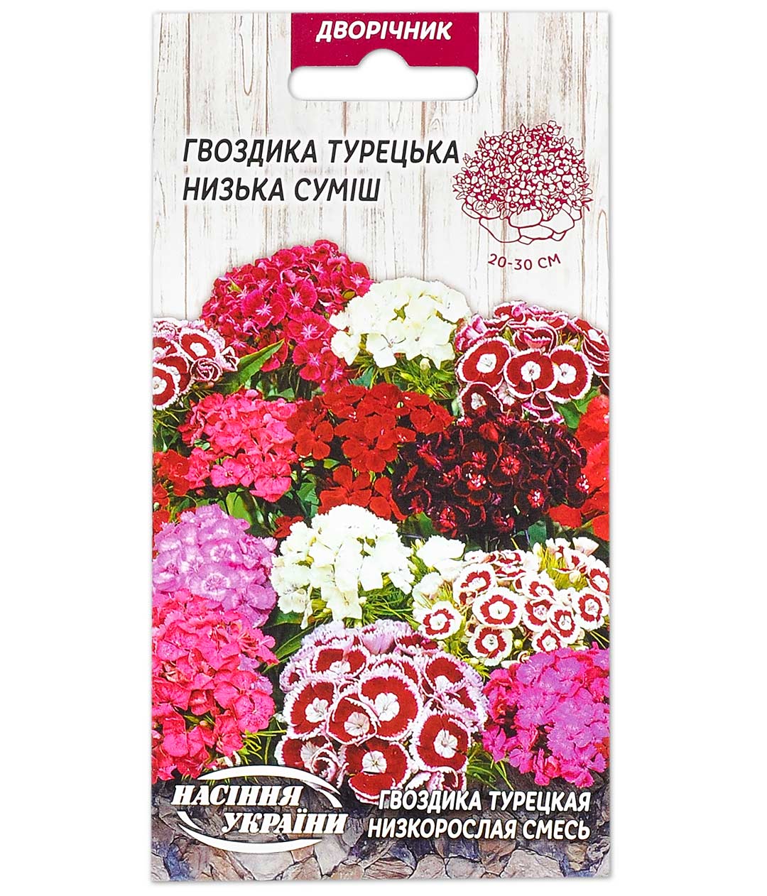 Изображение Гвоздика Турецкая низкая смесь