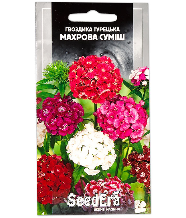Изображение Семена цветов Гвоздика Турецкая махровая смесь