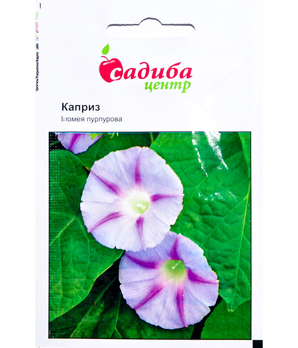 Изображение Семена цветов Ипомея Каприз пурпурная
