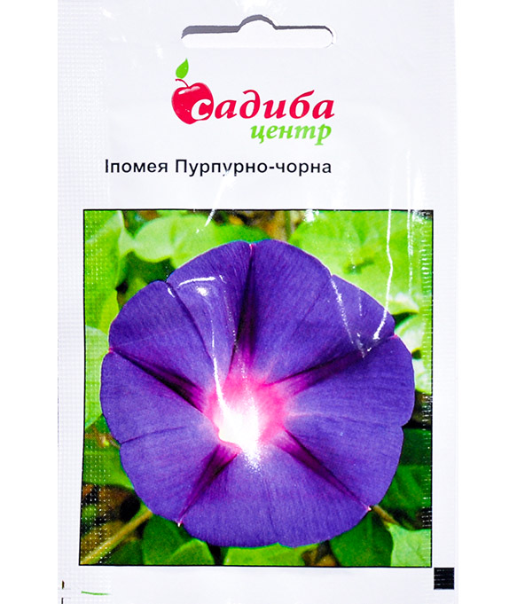 Изображение Семена цветов Ипомея Пурпурно-Чорна