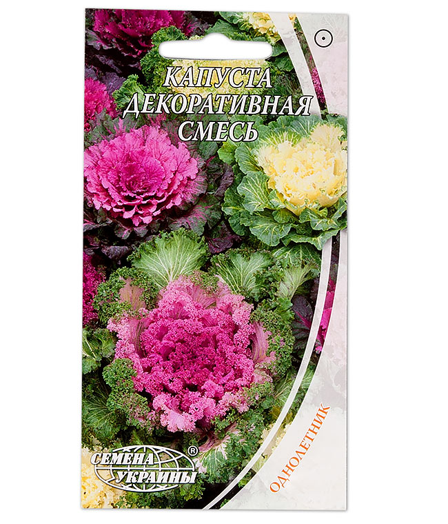 Изображение Семена цветов Капуста декоративная смесь