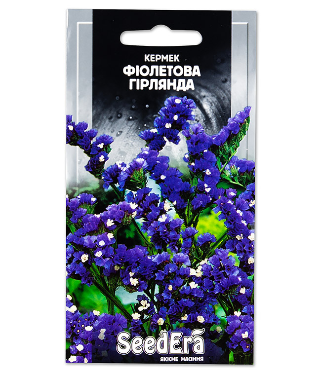 Изображение Семена цветов Кермек Фиолетовая гирлянда