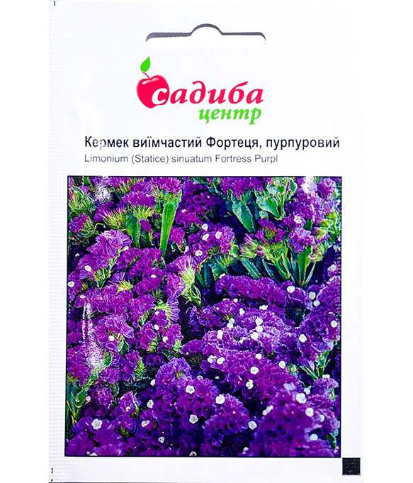 Изображение Семена цветов Кермек Фортеця пурпурный выемчатый