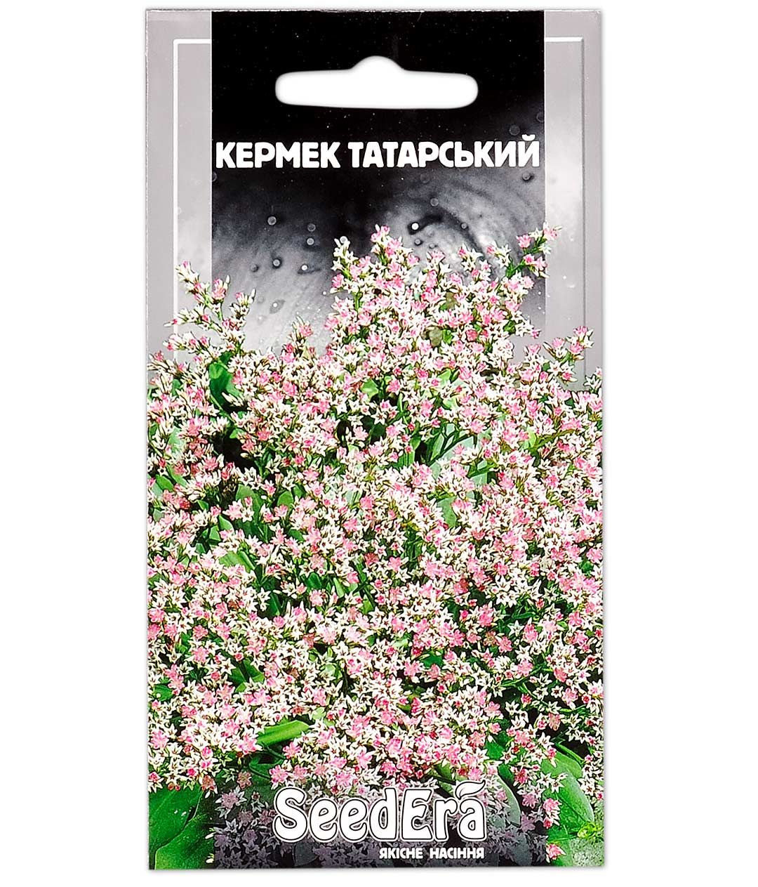 Изображение Семена цветов Кермек Татарский