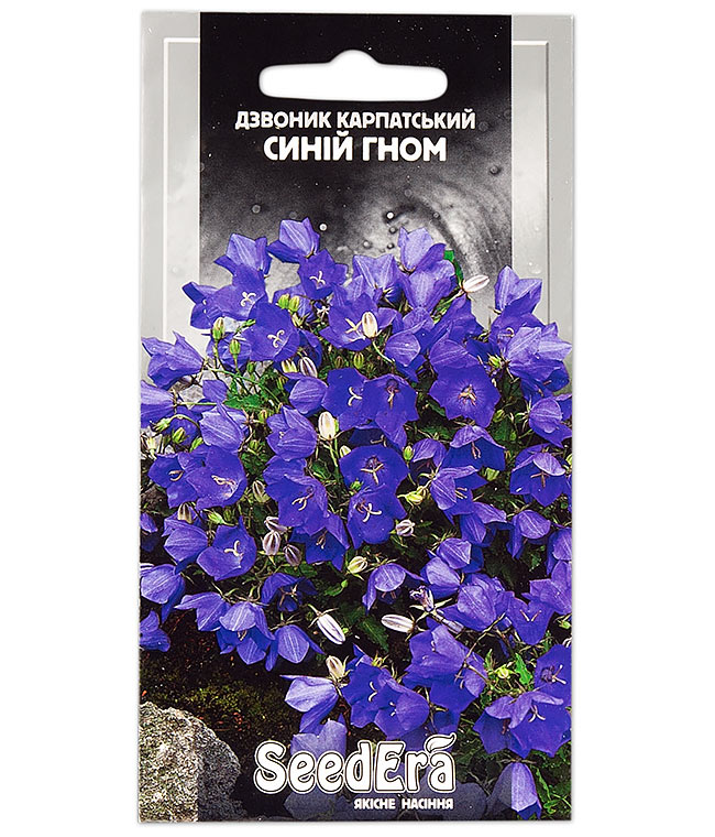 Изображение Семена цветов Колокольчик карпатский Синий гном