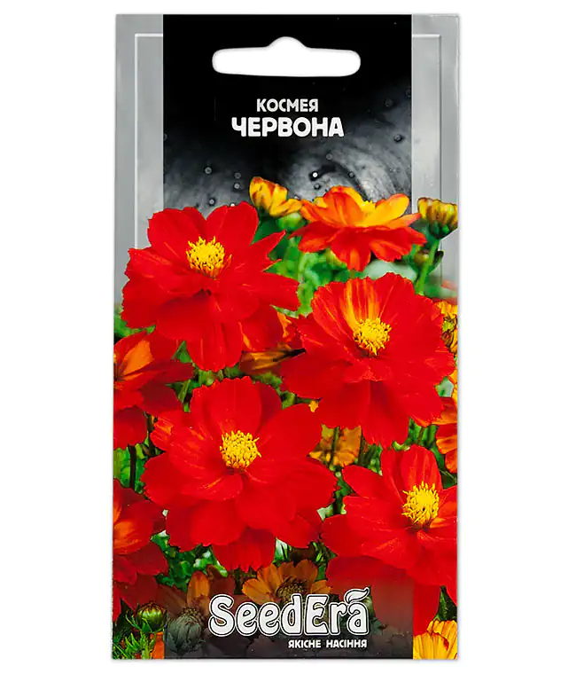 Космея Красная