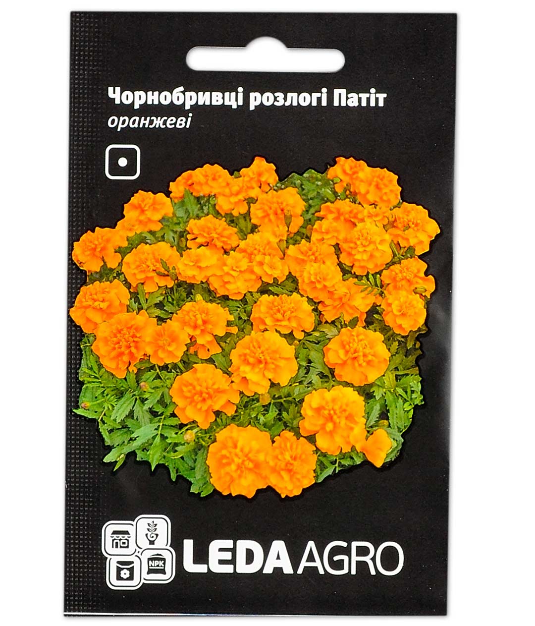 Изображение Семена цветов бархатцы Патит оранжевые