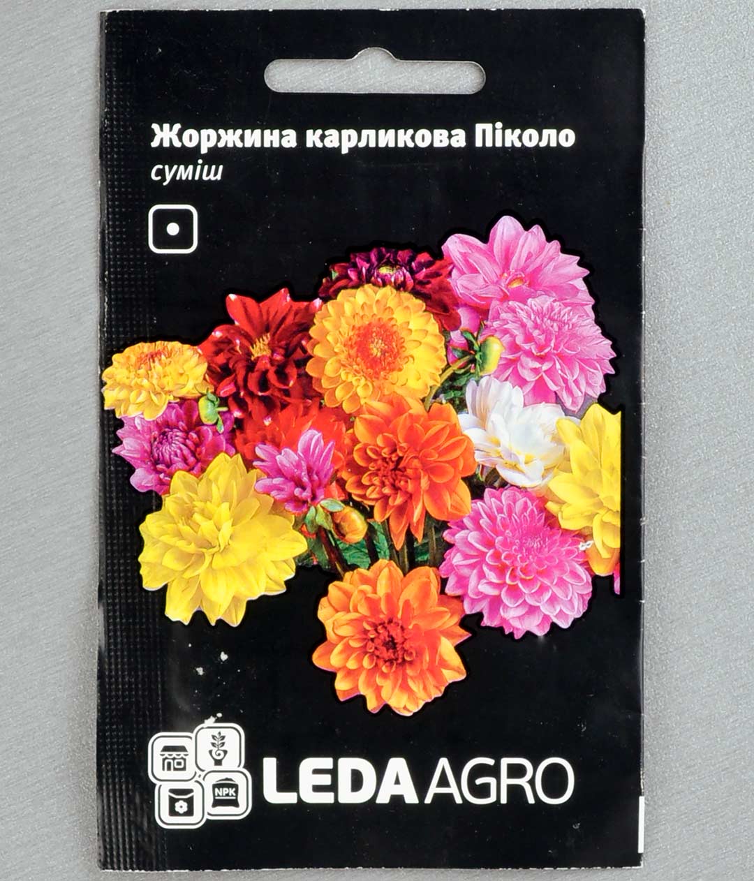 Изображение Семена цветов Георгина Пиколо карликовая