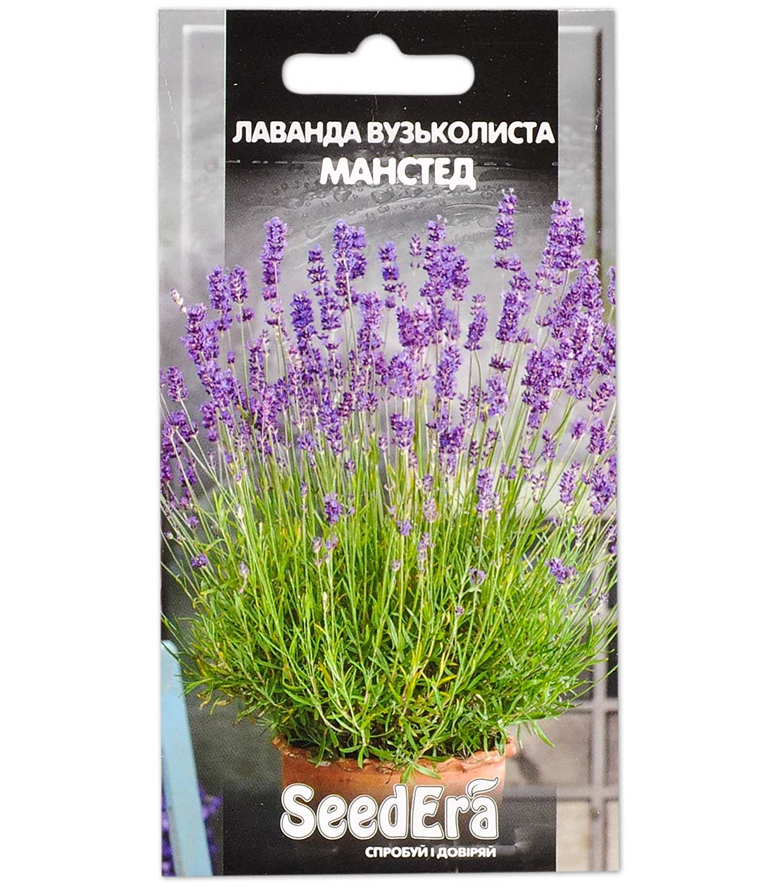 Изображение Лаванда узкол Манстед 