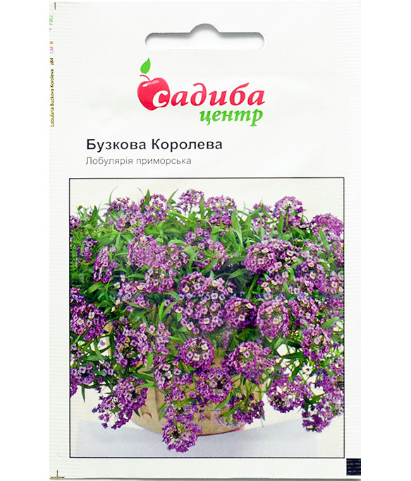 Изображение Семена цветов Лобулярия Фиолетовая Королева