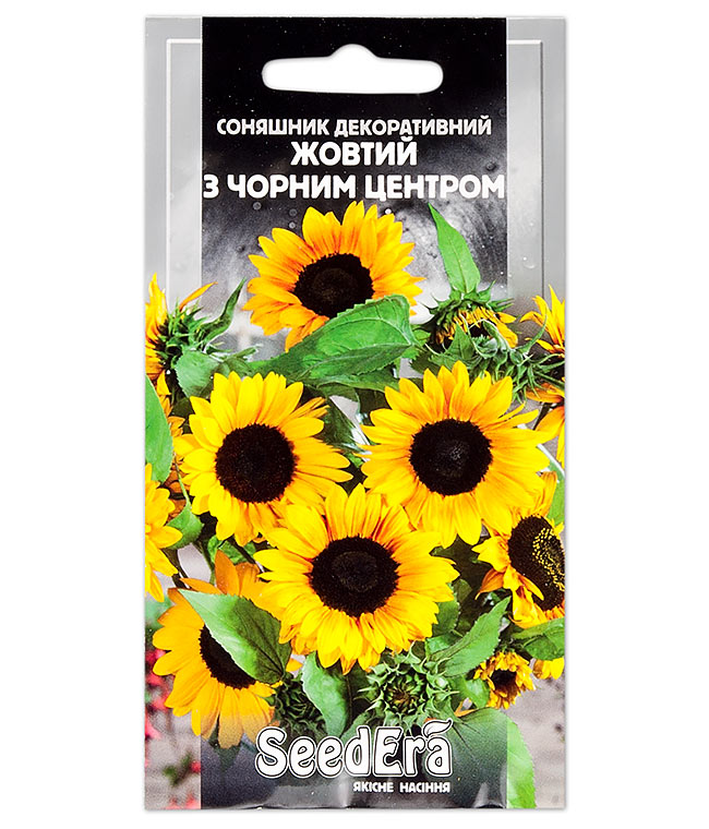Изображение Семена цветов Подсолнух декоративный Желтый с черным центром 