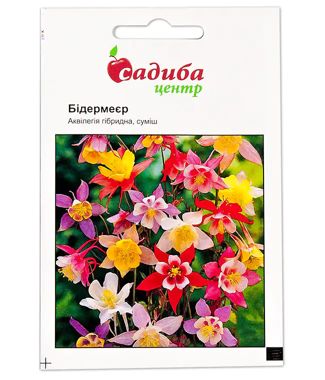 Семена цветов Аквилегия Бидермеер