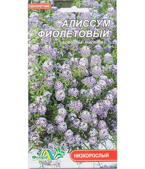 Семена цветов Алиссум ассортимент