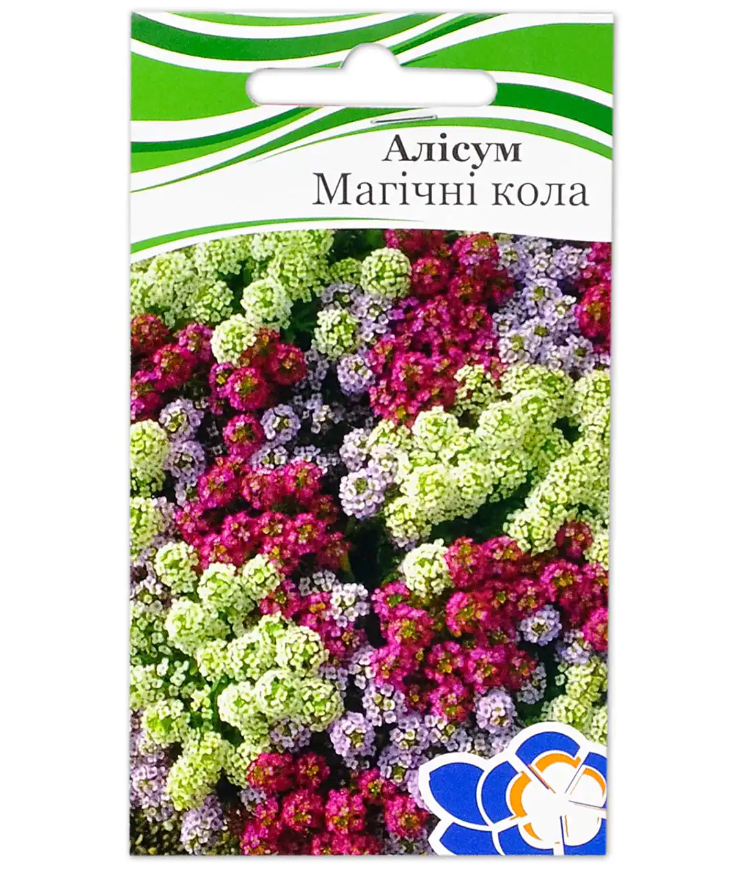 Изображение Алиссум магические круги