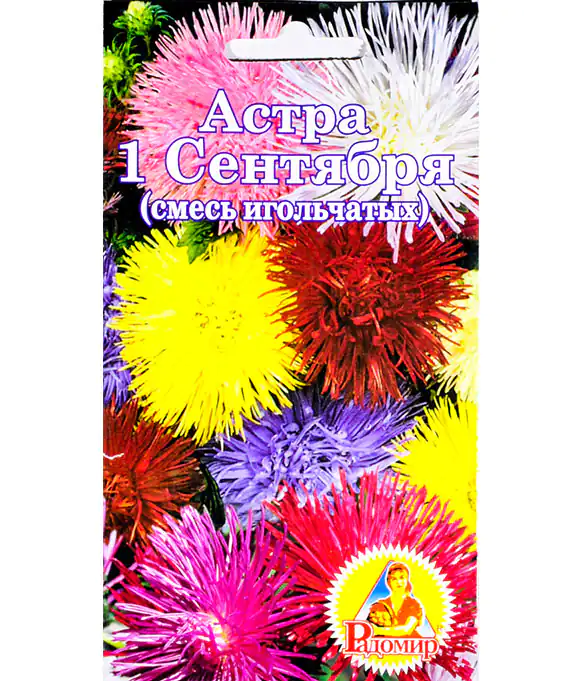 Изображение Семена цветов Астра 1Сентября