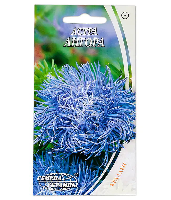 Семена цветов Астра Ангора
