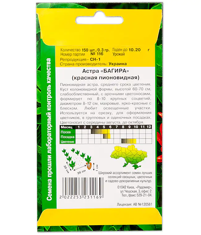 Семена цветов Астра Багира