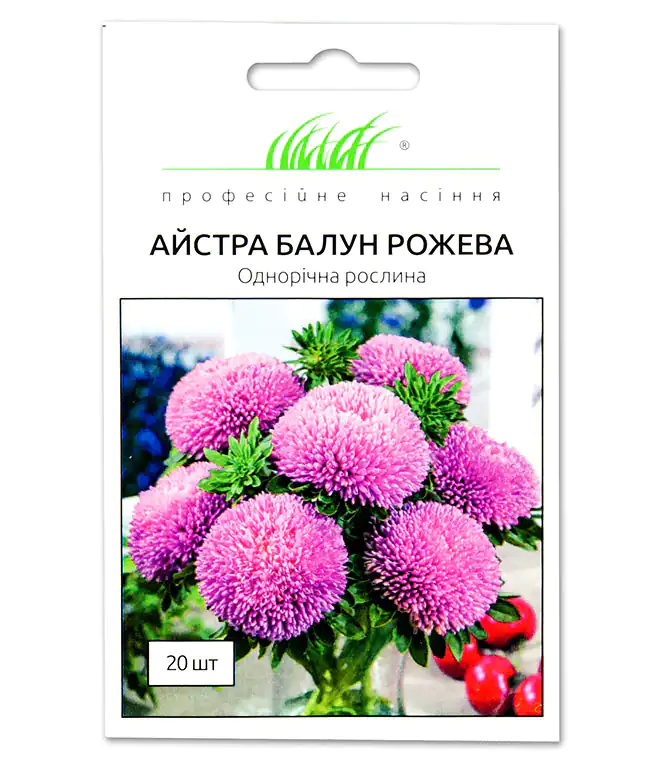 Астра Балун Рожева