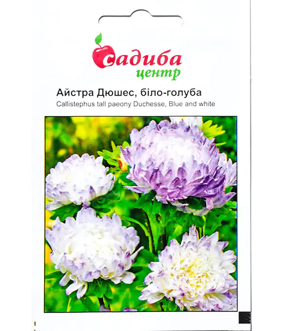 Семена цветов Астра Дюшес бело-голубая