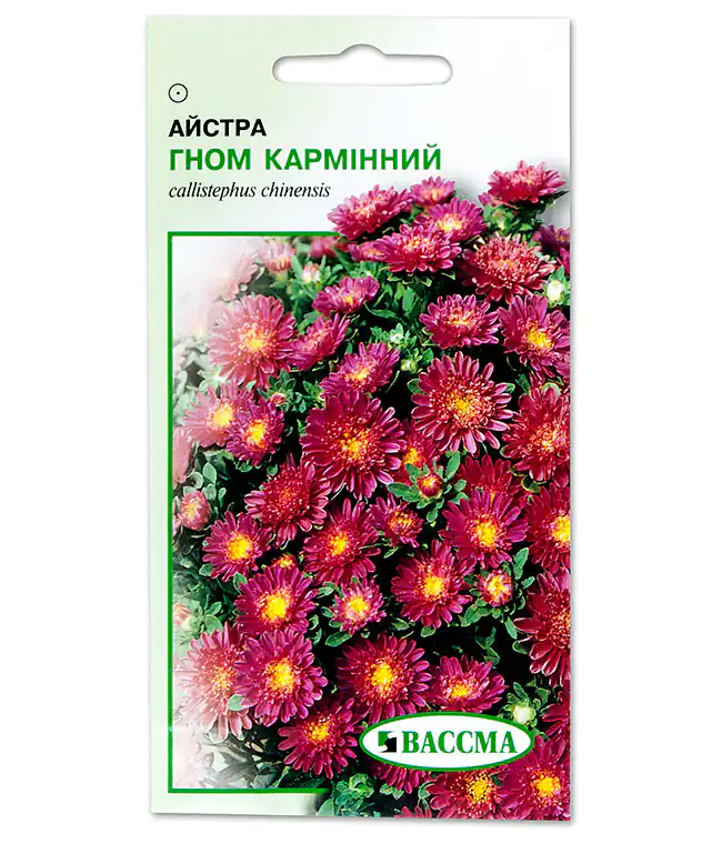 Семена цветов Астра Гном Карминный