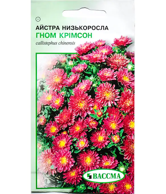 Семена цветов Астра Гном Кримсон Низкорослая