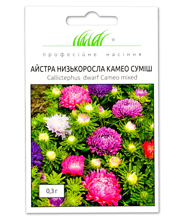 Семена цветов Астра Камео смесь