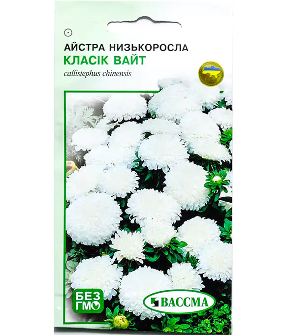 Семена цветов Астра Классик Вайт Низкорослая