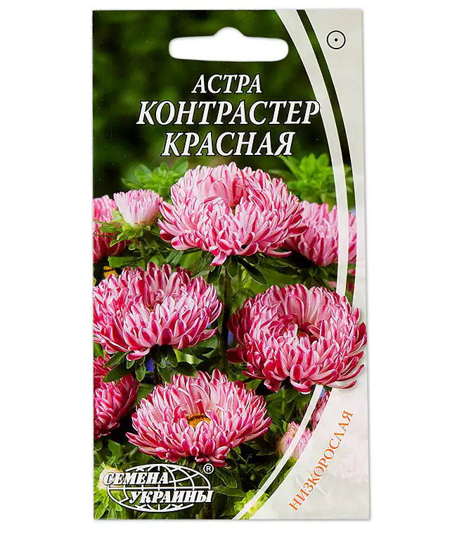 Семена цветов Астра Контрастер Красная