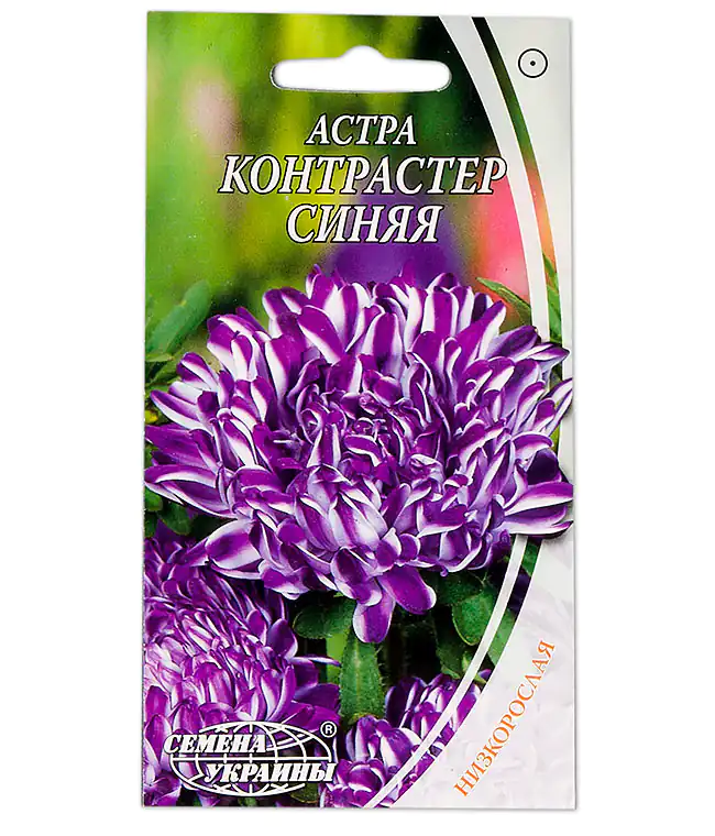 Семена цветов Астра Контрастер Синяя