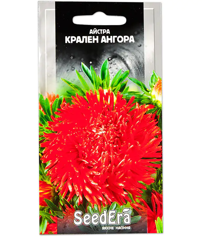 Изображение Астра Крален Ангора