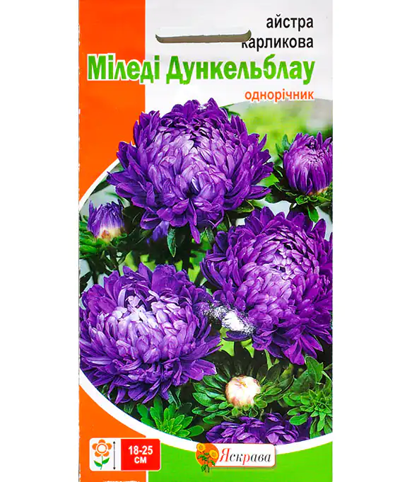Семена цветов Астра Миледи Дункельблау