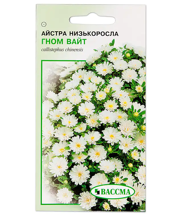 Семена цветов Астра Низкорослая Гном Вайт