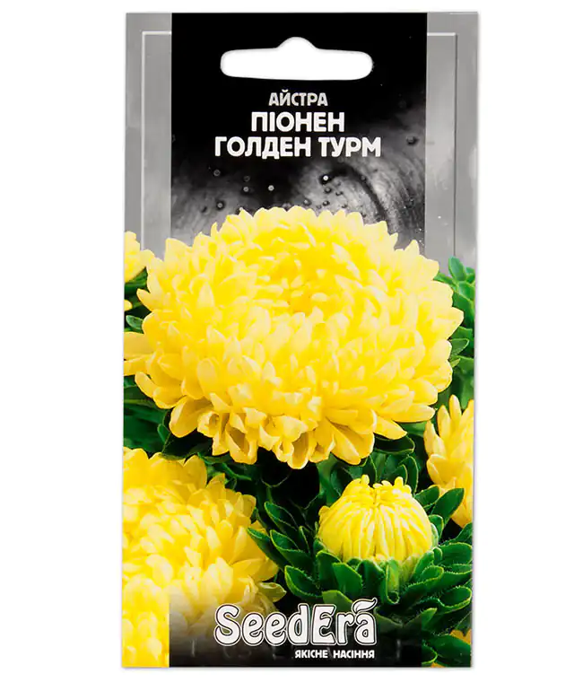 Айстра Піонен Голден Турм