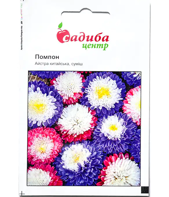 Изображение Семена цветов Астра Помпон смесь
