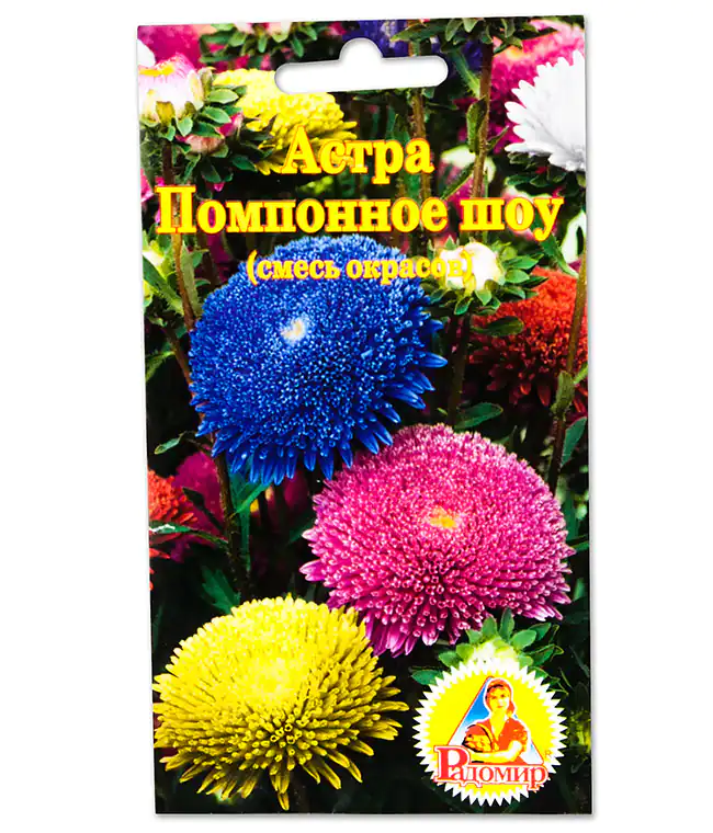 Семена цветов Астра Помпонное шоу
